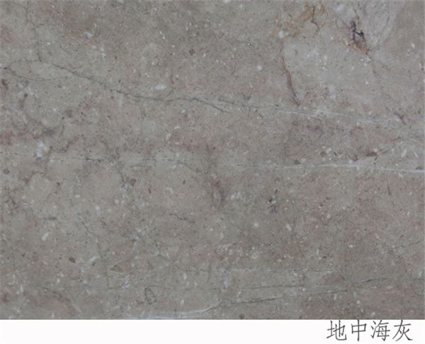 地中?；?/>
                              </div> 
                              <p class=